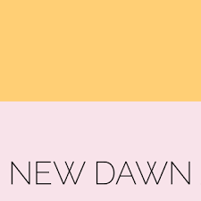 A graphic with a yellow top half and a light pink bottom half. The words "NEW DAWN" are written in thin, black capital letters on the pink section.