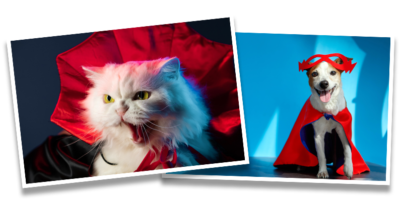 A white fluffy cat in a red vampire cape next to a happy dog wearing a red superhero mask and cape, both posing against colorful backgrounds.